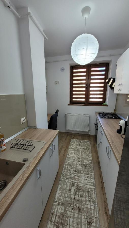 Andy Apartament Petroşani المظهر الخارجي الصورة